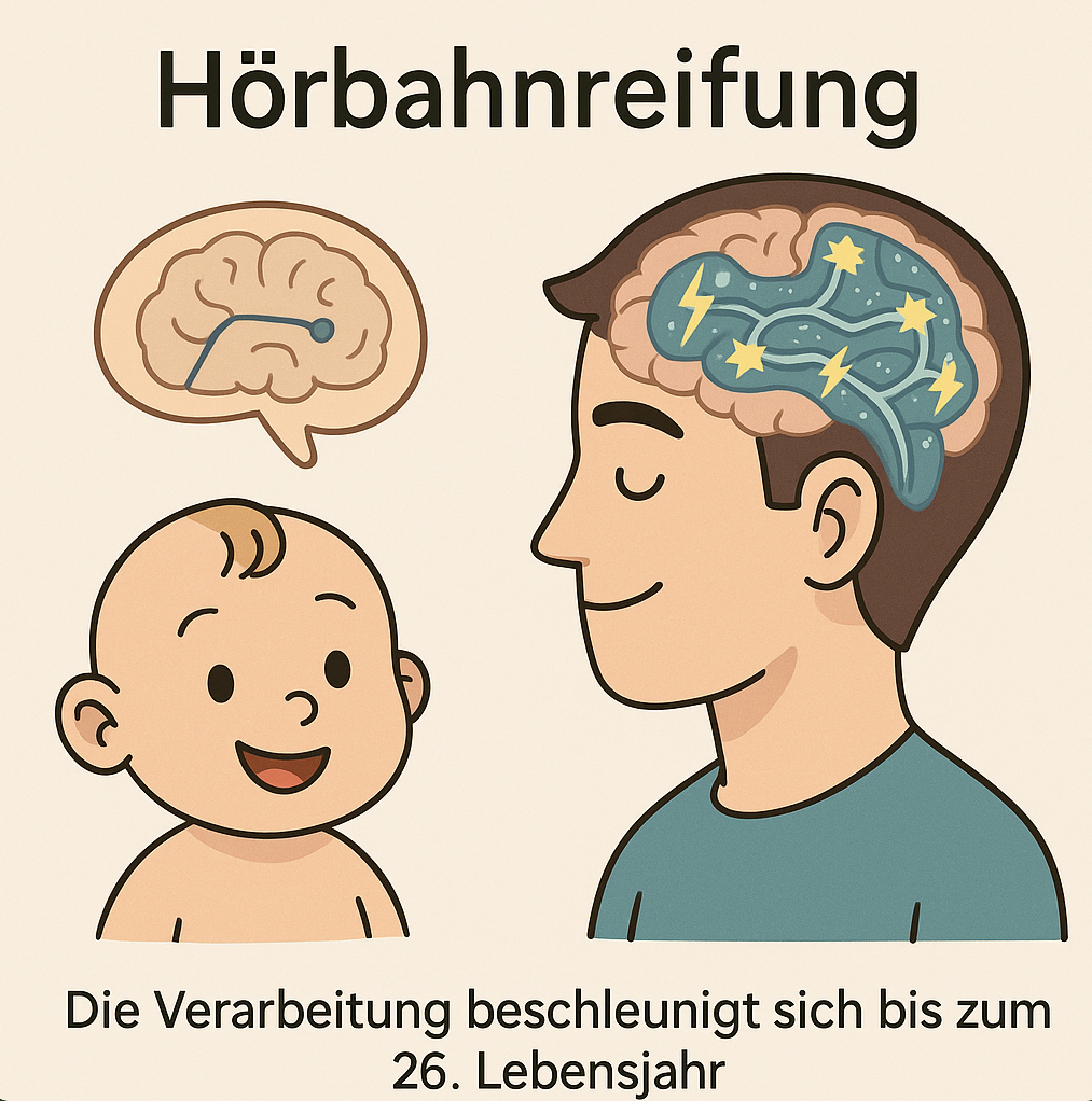 Illustration zur Reifung der Hörbahn vom Kleinkind bis zum jungen Erwachsenen – cartoonhaft dargestellt“